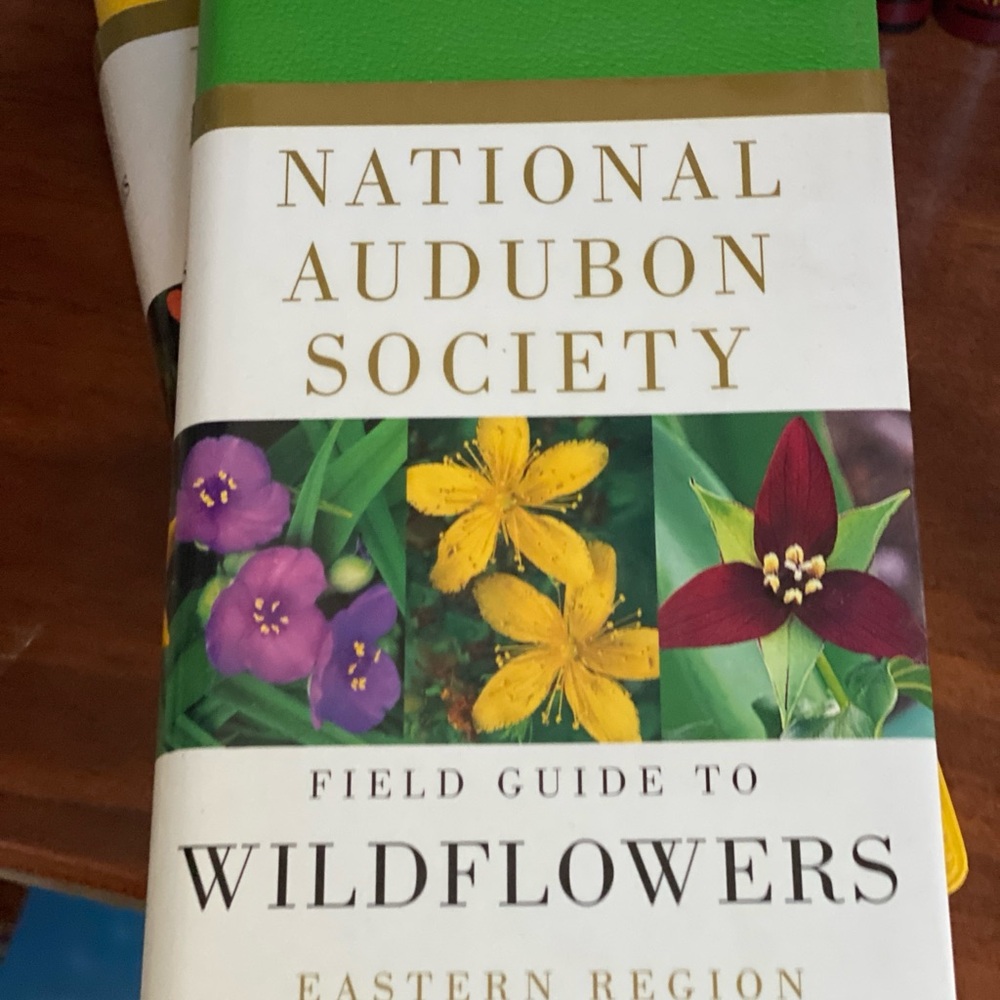 Green Field Guide to Wildflowers
